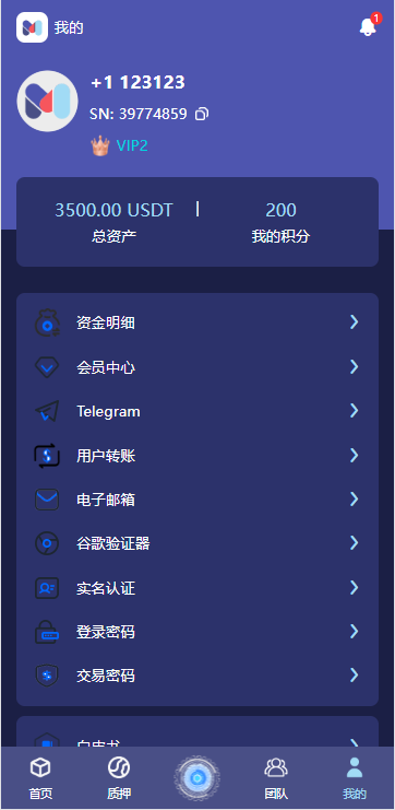 图片[7]-高端多语言自动挖矿系统/海外质押理财/自定义语言-高山源码