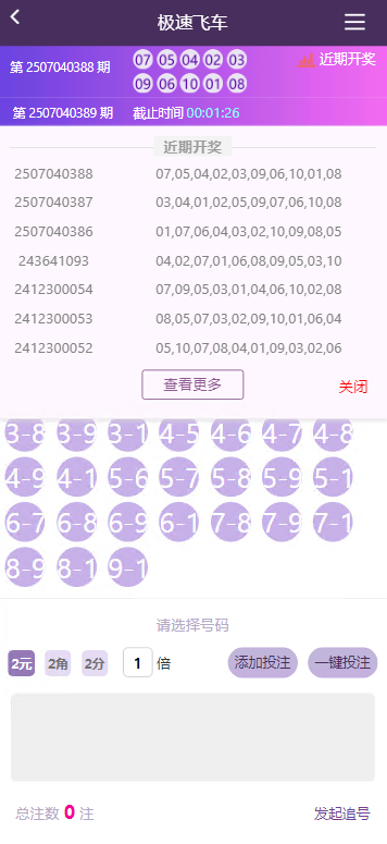 图片[6]-天恒杏彩系统、香港赛马。幸运飞艇源码/PK10/极速飞车程序可二开采集修复-高山源码