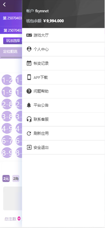 图片[7]-天恒杏彩系统、香港赛马。幸运飞艇源码/PK10/极速飞车程序可二开采集修复-高山源码